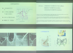 维港口腔种植牙医师受邀参加登腾高级专家研讨